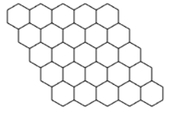 Parallelogram-1x